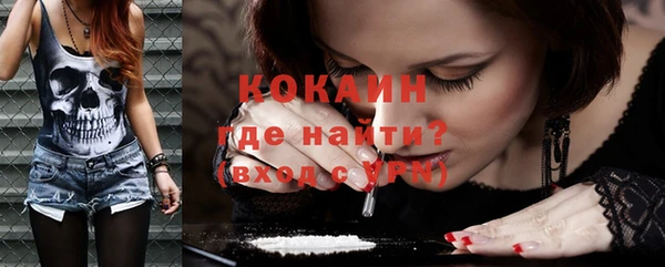 шишки Михайлов
