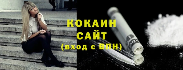шишки Михайлов