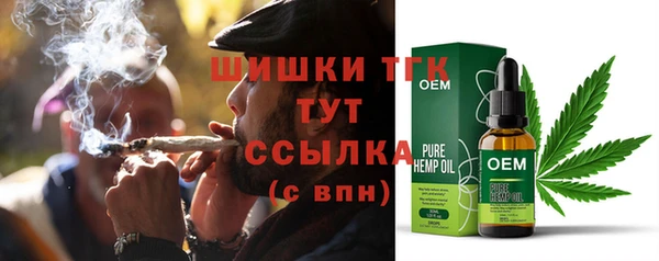 шишки Михайлов