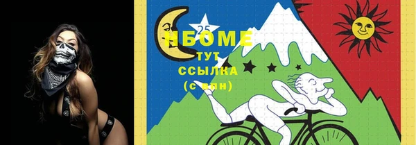 шишки Михайлов
