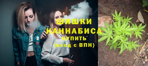 ПСИЛОЦИБИНОВЫЕ ГРИБЫ Мегион