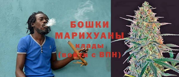 шишки Михайлов